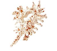 Barrettes en Coquillage pour Cheveux | Accessoire De Coiffure Anti-Dérapant | Pince À Cheveux Décorative Pour Femmes, Soirée, Plage, Mariage, Fête