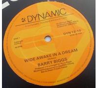 Barry Biggs - Wide Awake In A Dream