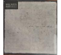 Barry Guy & Rafal Mazur - Barry Guy, Rafał Mazur - Harmony in Diversity [VINYL]