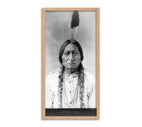 Barry Native American Lakota Chief Sitting Bull 1885 Photo Framed Wall Art Print Long 25X12 Inch
