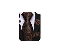 Barry.Wang Brown Tie 63" Paisley Silk Ties Set Pocket Square Cufflinks and Lapel Pin Extra Long Necktie Wedding Party