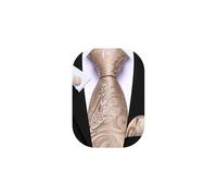 Barry.Wang Champagne Tie Mens Silk Wedding Paisley Necktie Pocket Square Cufflinks Set Classic Formal