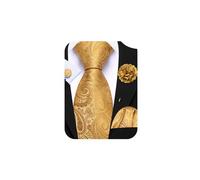 Barry.Wang Gold Tie 63" Paisley Silk Ties Set Pocket Square Cufflinks and Lapel Pin Extra Long Necktie Wedding Party