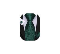 Barry.Wang Green Ties for Men Silk Paisley Necktie Pocket Square Cufflinks Set Formal Wedding Party