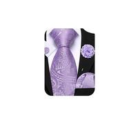Barry.Wang Light Purple Paisley Tie Silk Necktie Pocket Square Cufflinks and Lapel Pin Set Formal Wedding Party
