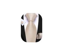 Barry.Wang Men Champagne Tie Solid Color Silk Necktie Handkerchief Cufflink Set Formal Wedding Business