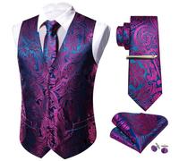 Barry.Wang Men Vest Set Paisley Floral Silk 5PCS Waistcoat Tie Handkerchief Cufflink Clip Casual Business Dress