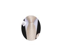 Barry.Wang Mens Beige Tie Silk Solid Color Champagne Necktie Pocket Square Cufflinks Set Wedding Formal