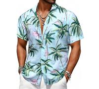 Barry.Wang Mens Hawaiian Shirts Short Sleeve Beach Casual Aloha Summer Button Down Tropical Floral Holiday Flamingo Coconut
