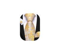 Barry.Wang Mens Light Yellow Tie Silk Floral Necktie Pocket Square Cufflinks Set Classic Wedding Party