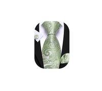 Barry.Wang Men's Paisley Tie Sage Green Silk Necktie Pocket Square Cufflinks Set Wedding Party