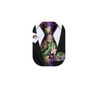 Barry.Wang Mens Paisley Tie Silk Purple Gold Green Necktie Pocket Square Cufflinks Set Wedding Party