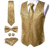 Barry.Wang Mens Paisley V-neck Suit Vest Formal/Leisure Silk Jacquard Waistcoat Tie Set 5PCS, Gold Flower a, 4XL