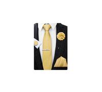 Barry.Wang Mens Tie and Pocket Square Set with Brooch Ties Clip Cufflinks