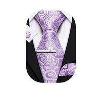 Barry.Wang Mens Tie Paisley Plaid Striped Floral Silky Necktie Pocket Square Cufflinks Clip Set Wedding Party Formal Business