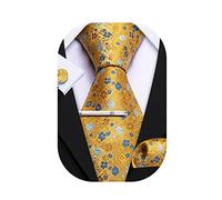 Barry.Wang Mens Ties Set Floral Necktie Pocket Square Cufflinks Clip Classic Mens Silk Ties 4PCS Set for Wedding Party Business