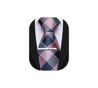Barry.Wang Plaid Ties Mens Silk Necktie and Tie Clip Checkered Tie for Wedding Party Business Formal, Blue and Pink, One size