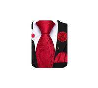 Barry.Wang Red Tie 63" Paisley Silk Ties Set Pocket Square Cufflinks and Lapel Pin Extra Long Necktie Wedding