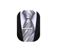 Barry.Wang Silk Men Ties Formal Stripes Necktie and Tie Clip for Wedding Party Business Fashion Classic, Gray Silver, One Size