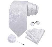 Barry.Wang White Tie 63" Paisley Silk Ties Set Pocket Square Cufflinks and Lapel Pin Extra Long Necktie Wedding Party
