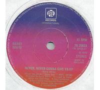 Barry White - Never Never Gonna Give Ya Up / Standing In The Shadows Of Love