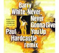 Barry White - NEVER NEVER GONNA GIVE YOU UP 7" (45) UK CLUB 1987 PAUL HARDCASTLE REMIX B/W SEPTEMBER WHEN I FIRST MET YOU (JAB59) PIC SLEEVE