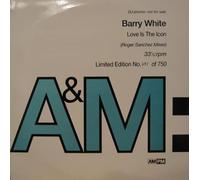 Barry White - Practice What You Preach (The R&B Mixes) / Love Is The Icon (Roger Sanchez Mixes)
