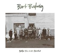 BUDWIG BART - ANOTHER BURN ON THE ASTROTURF - Vinyl Record - G4z