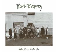 Bart Budwig Another Burn On the Astroturf CD FNG061 NEW
