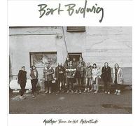 Bart Budwig Another Burn On The Astroturf LP New 857674003963