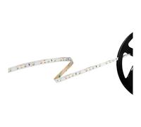 Barthelme Basic 60 LED Strip Warm White 12V 5m Open Cable Ends