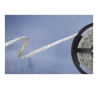 Barthelme 51540831 Basic LED Strip 24V 5m RGB Splash-Proof Flexibl...