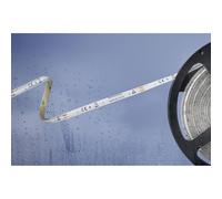 Barthelme Basic LED Strip 5m Neutral White 12V IP54 Dust/Water-proof