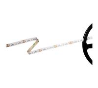 Barthelme Basic TW LED Strip Open Cable Ends 24V 5m 1 Piece(s) 51541330