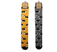 Bartleby Funky Welly Socks - Sheep Dog 1 pair Yellow or Grey