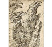 Bartolomeo Passerotti Study Of An Eagle Unframed Wall Art Print Poster Home Decor Premium