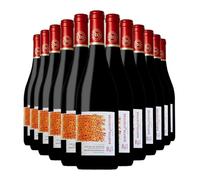 Barton & Guestier Côtes du Rhône Les Galets | 12 x 75 rench Red Wine 14.5% | Full-Bodied Rhône Blend | Grenache Syrah Mourvèdre | Rich & Spicy