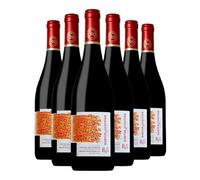Barton & Guestier Côtes du Rhône Les Galets | 6 x 75 rench Red Wine 14.5% | Full-Bodied Rhône Blend | Grenache Syrah Mourvèdre | Rich & Spicy