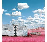 Barton Think - My Last Album [VINYL]