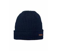 Barts Wilbert Turnup Hat Bleu TU