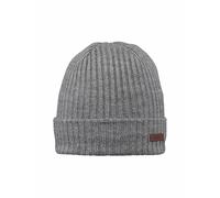 Barts Wilbert Turnup Hat Gris TU