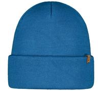 BARTS Willes Beanie - Men - Blue - size only size- model 2024 only size