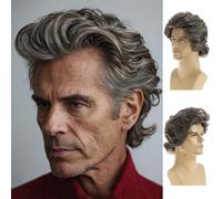 Baruisi Mens Wig Mixed Brown Short Wavy Layered Synthetic Cosplay Party Hair Wig,Brown Mixed Gray