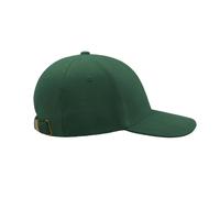 Baseball cap Atlantis Headwear Liberty Six Vert TU