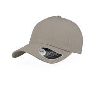 Baseball cap Atlantis Headwear Shot Gris TU