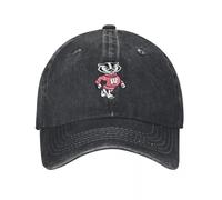 Baseball Cap Wisconsin Badgers Sailor for Men Big Size Golf Genuine Custom Mens Women's