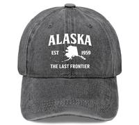 Baseball Caps Dad Hat for Men Vintage Baseball Cap Adjustable, Pigment Gray, One Size