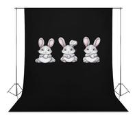 Baseball Easter Bunny Rabbits Easter Day Personalised Backdrop Background Foldable Photography Cloth Funny Photo Tabletop Backdrops