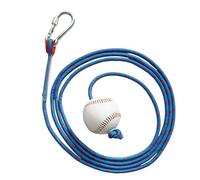 Baseball Swing Trainer - Strike Line, Powerful Strike Strap, Eye Rope, Handle Alignment Thread, Step Response Link, Diamond Training Rope | Game