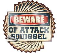 Basement Decor Bumper Lettering Sticker | Beware of Attack Squirrel Tall Durable Vinyl Sticker Easy Apply for Texas(8X12CM)